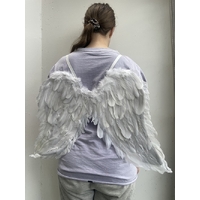 FEATHER WING WHITE 65X45CM