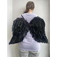 FEATHER WING BLACK 65X45CM