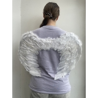 FEATHER WING WHITE 60X45CM