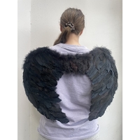FEATHER WING BLACK 60X45CM