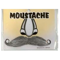 GREY MOUSTACHE( 6PK)