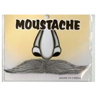 GREY MOUSTACHE (6PK)