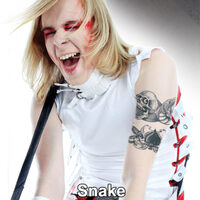 Snake - Body Bands