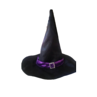 Wicked Witch Hat