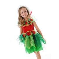 Christmas Fairy Dress