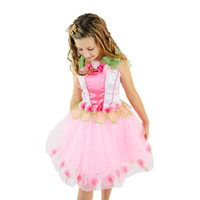 Milly Fairy Dress