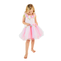 Enchanting Fairy Dress