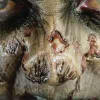 Zombie Nose 3D Fx Transfer - Small