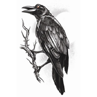 The Raven - Gothic