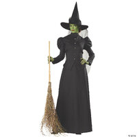 Womenâs Deluxe Classic Witch Costume - Extra Large