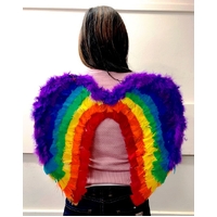 YA35 RAINBOW FEATHERWING 50X45CM 