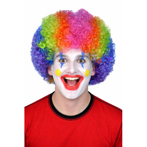 Wig - Rainbow Curly Clown