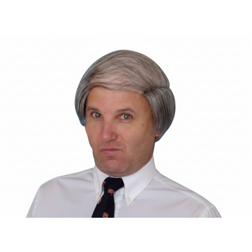 Wig - Tragic Combover - Grey