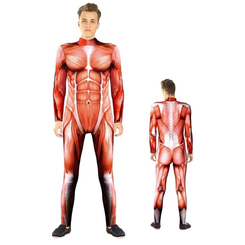 ANATOMY LARGE 