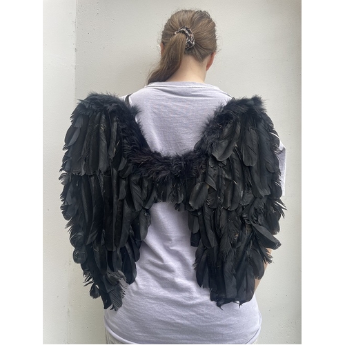 FEATHER WING BLACK 50X50CM