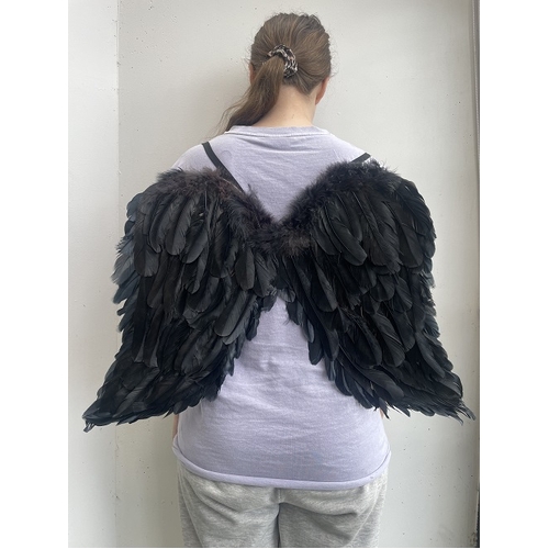 FEATHER WING BLACK 65X45CM