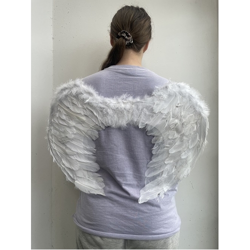 FEATHER WING WHITE 60X45CM