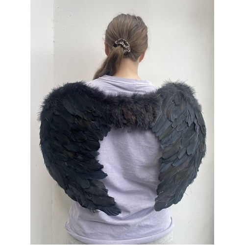 FEATHER WING BLACK 60X45CM