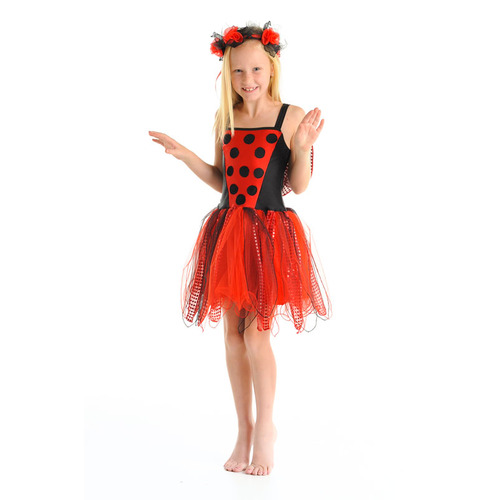 Magical Ladybug