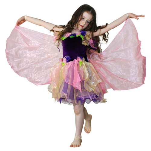 Forest Fairy