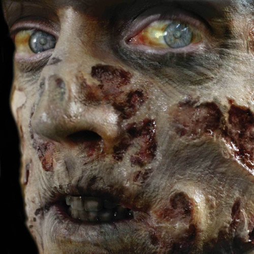Zombie Rot 3D Fx Transfer - Medium